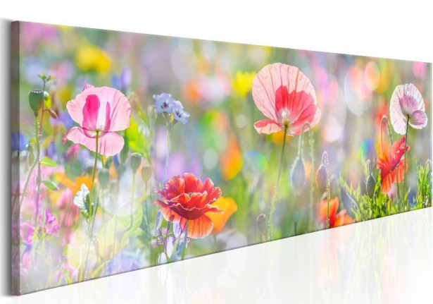 Canvas-taulu Artgeist Rainbow of Morning Poppies, eri kokoja