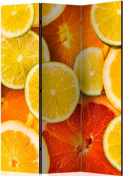 Sermi Artgeist Citrus fruits, 135x172cm