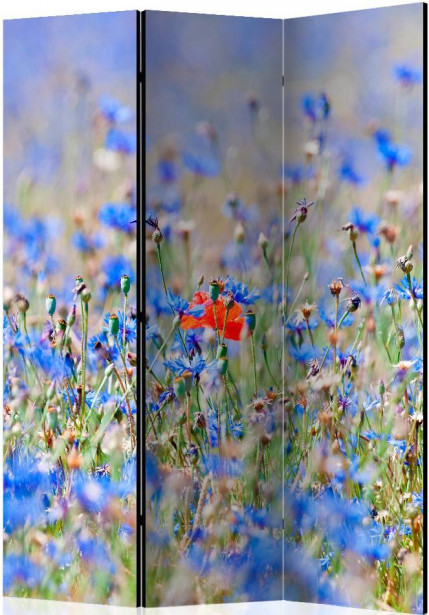 Sermi Artgeist A sky-colored meadow - cornflowers, 135x172cm