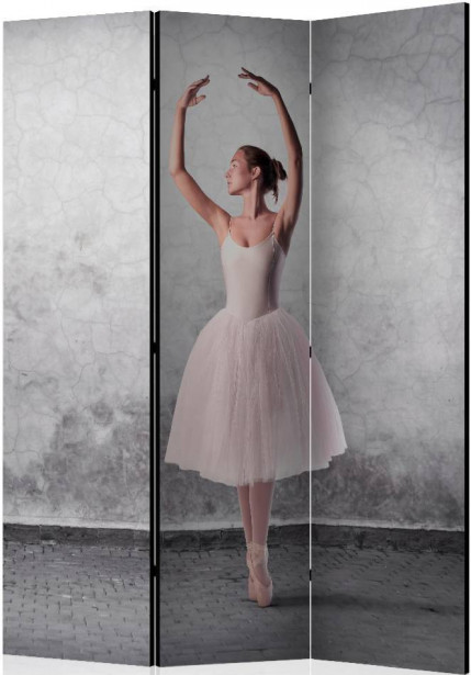 Sermi Artgeist Ballerina in Degas paintings style, 135x172cm