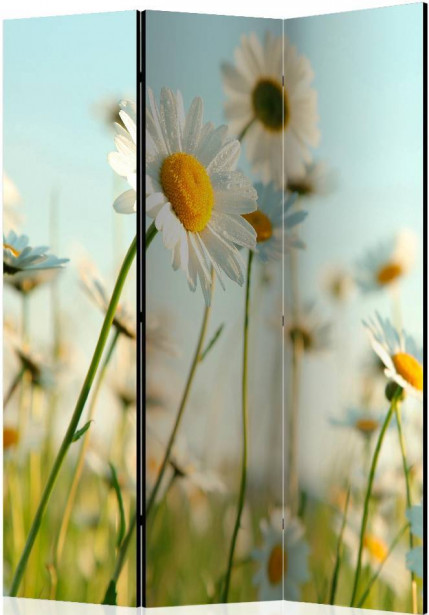 Sermi Artgeist Daisies - spring meadow II, 135x172cm