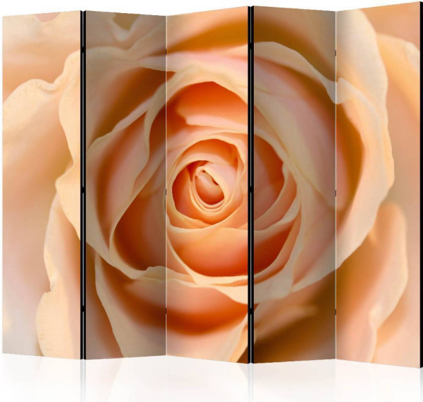 Sermi Artgeist Peach-colored rose II, 225x172cm