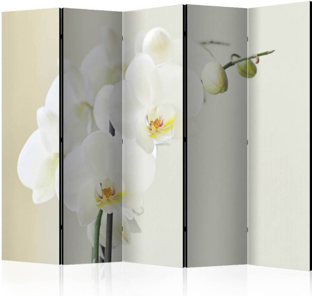 Sermi Artgeist White orchid II, 225x172cm