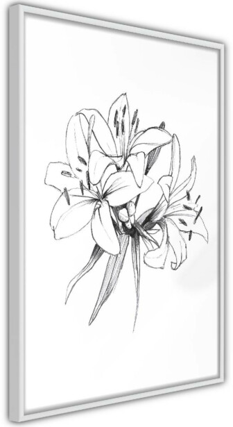 Juliste Artgeist Drawn Flowers, kehyksillä, eri kokoja