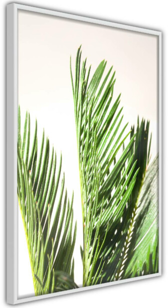 Juliste Artgeist Plant Detail, kehyksillä, eri kokoja