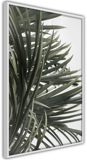 Juliste Artgeist In the Shade of Palm Trees, kehyksillä, eri kokoja