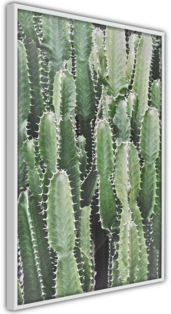 Juliste Artgeist Cactus Garden, kehyksillä, eri kokoja
