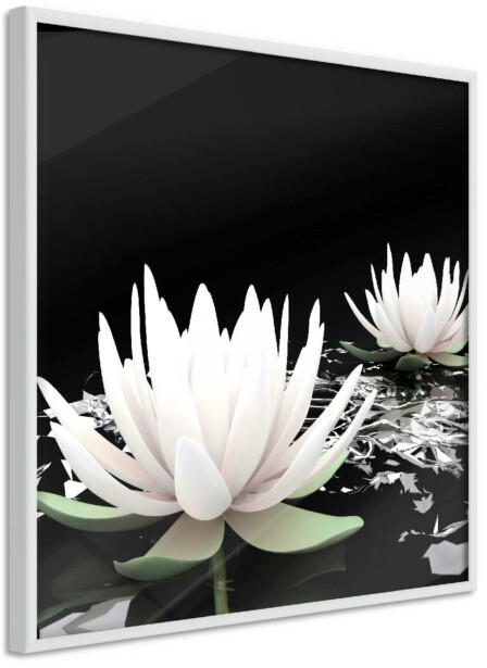 Juliste Artgeist Lotus Flowers, kehyskartongilla, kehyksillä, eri kokoja