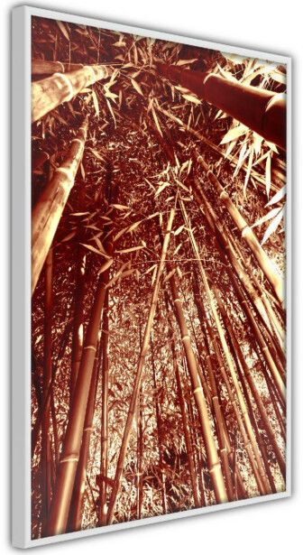 Juliste Artgeist Tall Bamboos, kehyksillä, eri kokoja