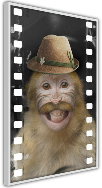 Juliste Artgeist Monkey In Hat, kehyksillä, eri kokoja