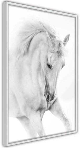Juliste Artgeist White Horse, kehyksillä, eri kokoja