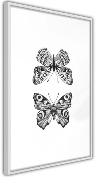 Juliste Artgeist Two Butterflies, kehyskartongilla, kehyksillä, eri kokoja