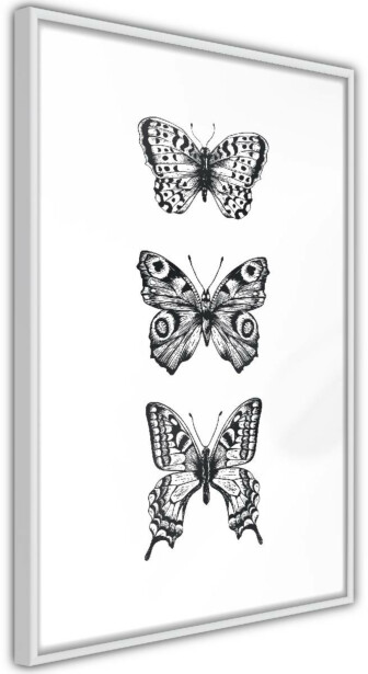 Juliste Artgeist Three Butterflies, kehyksillä, eri kokoja