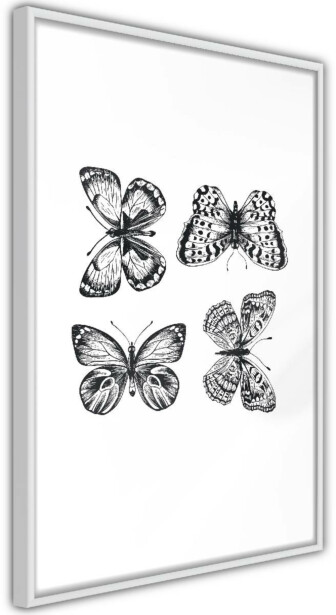 Juliste Artgeist Four Butterflies, kehyksillä, eri kokoja