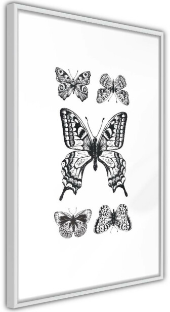 Juliste Artgeist Five Butterflies, kehyksillä, eri kokoja