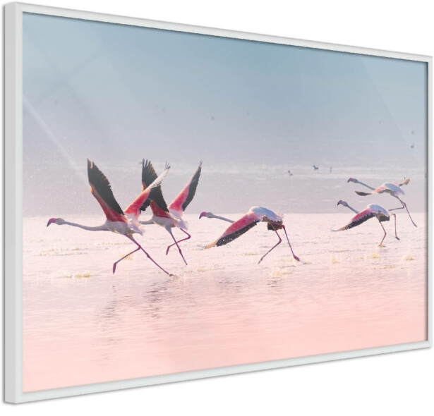 Juliste Artgeist Flamingos Race, kehyksillä, eri kokoja