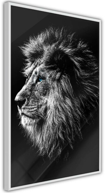 Juliste Artgeist Blue-eyed Lion, kehyskartongilla, kehyksillä, eri kokoja