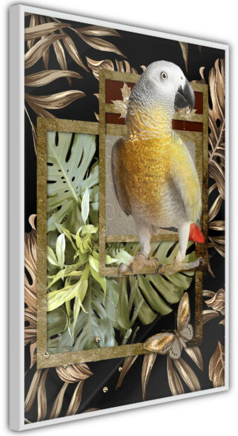 Juliste Artgeist Golden Parrot, kehyksillä, eri kokoja