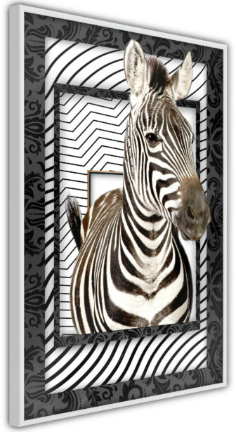 Juliste Artgeist Zebra, kehyksillä, eri kokoja