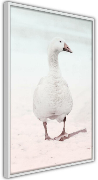 Juliste Artgeist Winter Duck, kehyksillä, eri kokoja