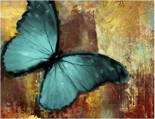 Kuvatapetti Artgeist Painted butterfly, eri kokoja
