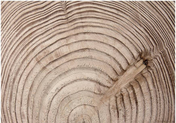 Kuvatapetti Artgeist Wood grain, eri kokoja