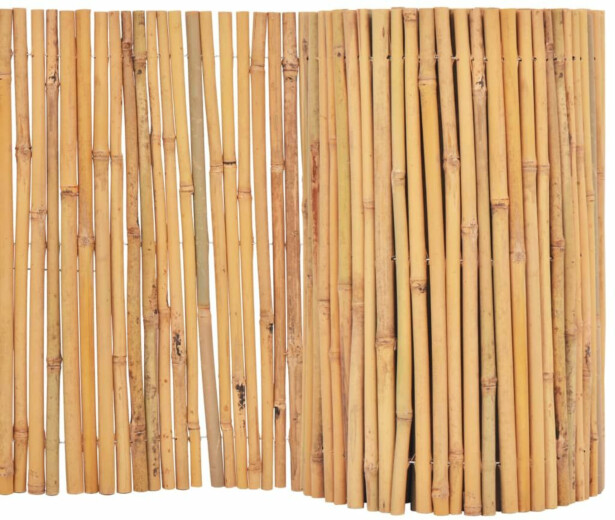 Bambuaita, 500x30cm