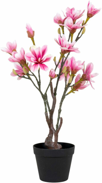 Tekokasvi House Nordic Magnolia, 74cm, vaaleanpunainen