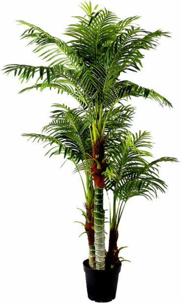 Tekokasvi Lykke Areca Palm, 180cm