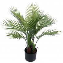 Tekokasvi AmandaB Collection palmu, eri kokoja
