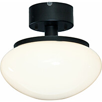 Plafondi Aneta Lighting August New, metalli/lasi, E27