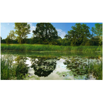 Sisustustarra Artgeist The Magic Pond II, 280x490cm