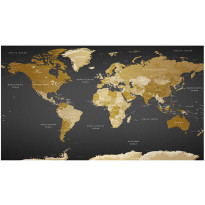 Kuvatapetti World Map: Modern Geography II, XXL, 500x280cm