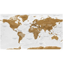 Sisustustarra Artgeist World Map: White Oceans II, 280x490cm