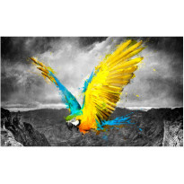 Kuvatapetti Artgeist Exotic parrot, 270x450cm