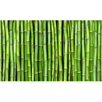 Kuvatapetti Artgeist Bambuseinä, 270x450cm