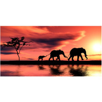 Maisematapetti Artgeist Elephants: family, 550x270cm