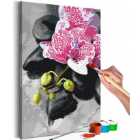 DIY-taulu Artgeist Pink Orchid , 60x40cm