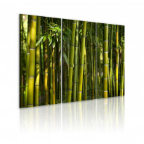 Canvas-taulu Artgeist Green bamboo , 40x60cm