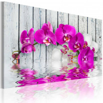 Canvas-taulu Artgeist Harmony: Orchid, 40x60cm