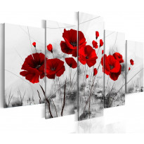 Canvas-taulu Artgeist Poppies - Red Miracle, eri kokoja