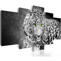 Canvas-taulu Artgeist Leopard, eri kokoja
