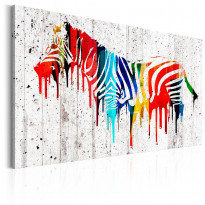 Canvas-taulu Artgeist Colourful Zebra, eri kokoja