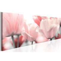Canvas-taulu Artgeist Pink Tulips, eri kokoja