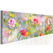 Canvas-taulu Artgeist Rainbow of Morning Poppies, eri kokoja