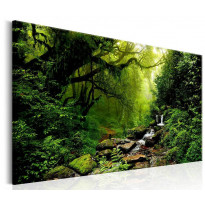 Canvas-taulu Artgeist Waterfall in the Forest, eri kokoja