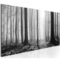 Canvas-taulu Artgeist Black and White Forest, eri kokoja