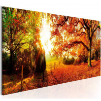 Canvas-taulu Artgeist Magic of Autumn, eri kokoja