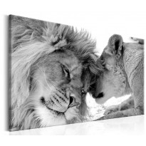 Canvas-taulu Artgeist Lion&#39;s Love, eri kokoja