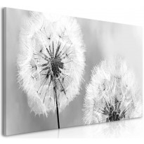 Canvas-taulu Artgeist Fluffy Dandelions, 100x45cm